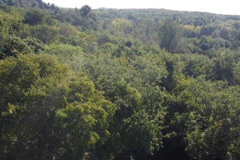 Terreno non edificabile Poreč, 1.532m2