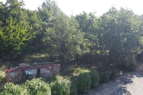 Terreno non edificabile Poreč, 1.532m2