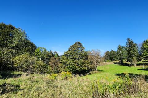 Stavbno zemljišče Jablan, Vrbovsko, 5.990m2