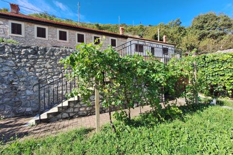 Bribir- 2 uređene kuće sa impresivnom okućnicom