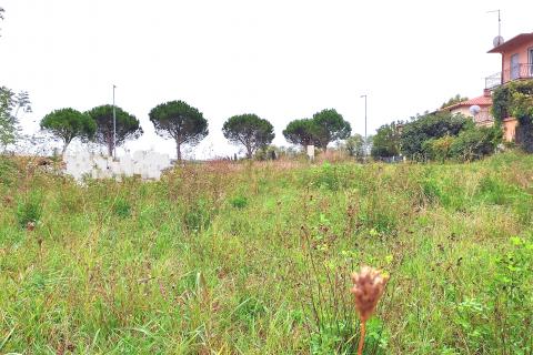 Istra,Umag,građevinska parcela!