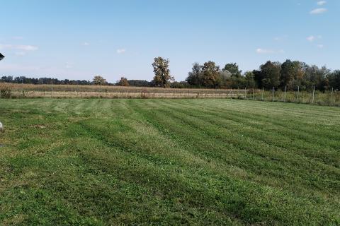 Velika gorica okolica, Obed, poljoprivredno zemljište 3506 m2