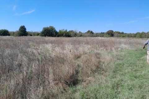 Istra,Marčana,građevinski teren sa mogućnošću parcelacije