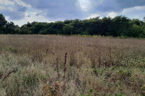 Terreno non edificabile Savičenta, Vodnjan, 10.685m2