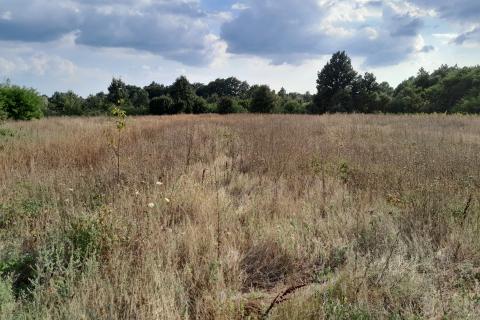 Terreno non edificabile Savičenta, Vodnjan, 10.685m2