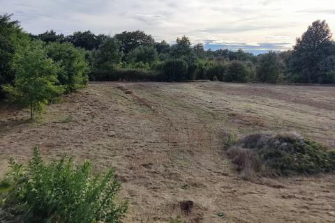 Terreno non edificabile Savičenta, Vodnjan, 10.685m2