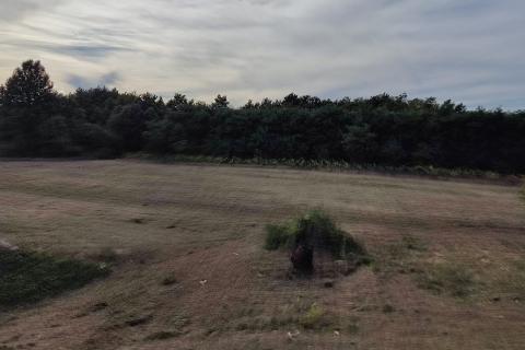 Terreno non edificabile Savičenta, Vodnjan, 10.685m2