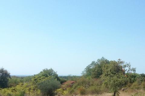 Istra, Umag - stambeno građevinsko zemljište, pogled na more