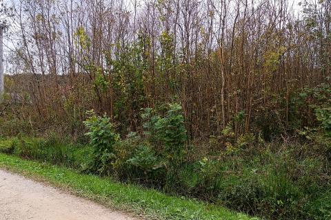 Terreno edificabile Gornja Trebinja, Karlovac - Okolica, 4.366m2