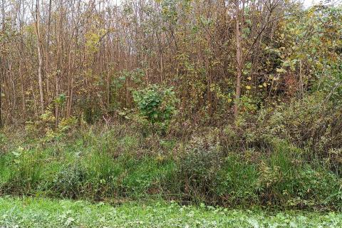 Terreno edificabile Gornja Trebinja, Karlovac - Okolica, 4.366m2