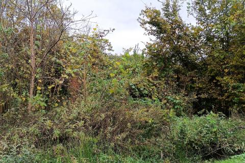 Terreno edificabile Gornja Trebinja, Karlovac - Okolica, 4.366m2