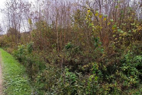 Terreno edificabile Gornja Trebinja, Karlovac - Okolica, 4.366m2