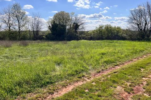 Istra, Brtonigla , okolica, poljoprivredni tereni