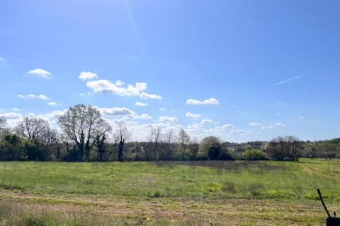 Istra, Brtonigla , okolica, poljoprivredni tereni