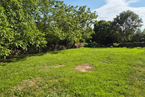 Building plot Kanfanar, 1.154m2