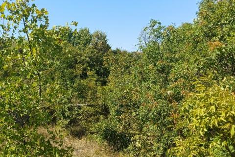 Pula,okolica, građevinsko zemljište, 3 čestice