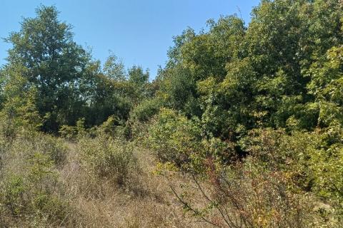 Pula,okolica, građevinsko zemljište, 3 čestice