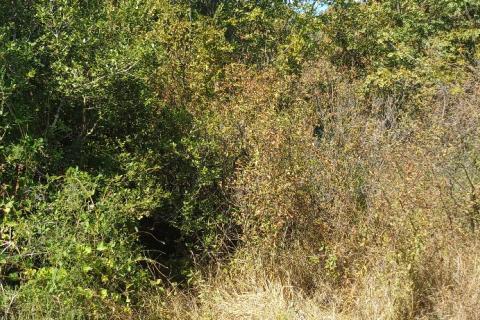 Pula,okolica, građevinsko zemljište, 3 čestice