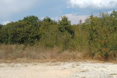 Pula,okolica, građevinsko zemljište, 3 čestice