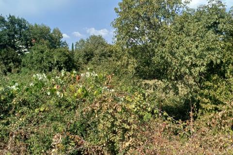 Pula,okolica, građevinsko zemljište, 3 čestice