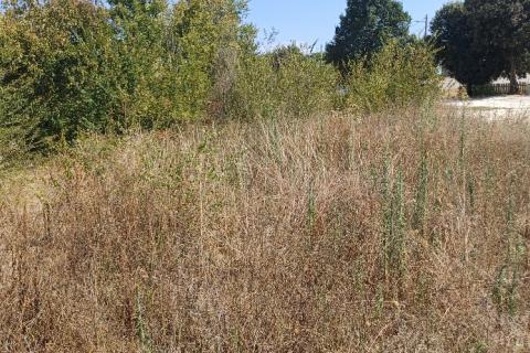 Pula,okolica, građevinsko zemljište, 3 čestice