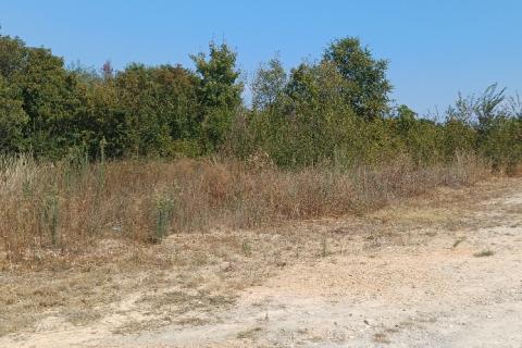 Pula,okolica, građevinsko zemljište, 3 čestice