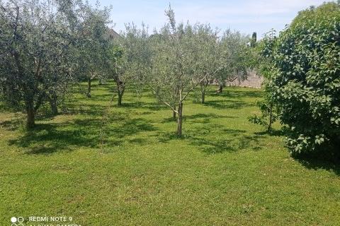 Istra - Medulin - Obiteljska kuća u strogom centru 