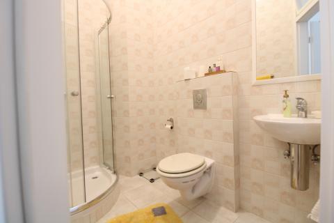 Дом Centar, Velika Gorica, 437m2