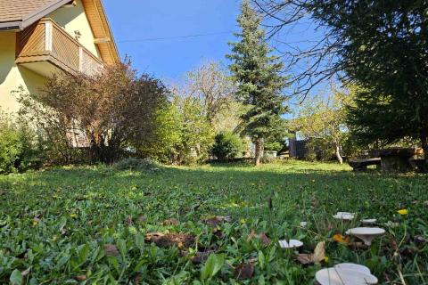 Hiša Stari Laz, Ravna Gora, 260m2