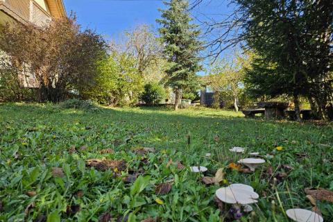 Hiša Stari Laz, Ravna Gora, 260m2