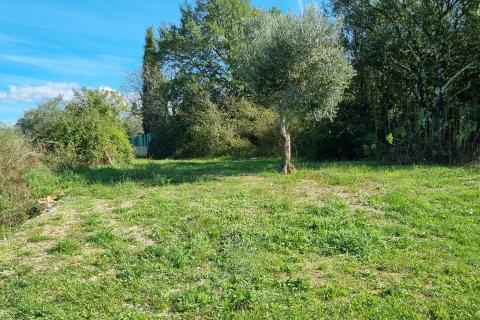 Istra, Rovinj poljoprivredno zemljište 1574m2