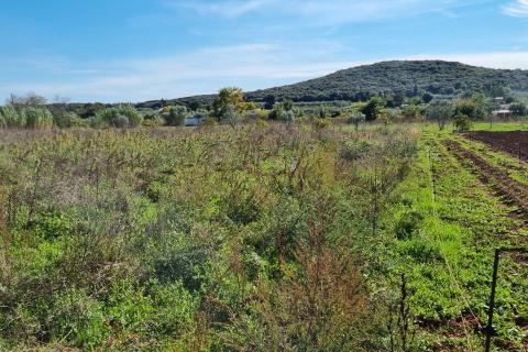 Stavbno zemljišče Rovinj, 5.000m2