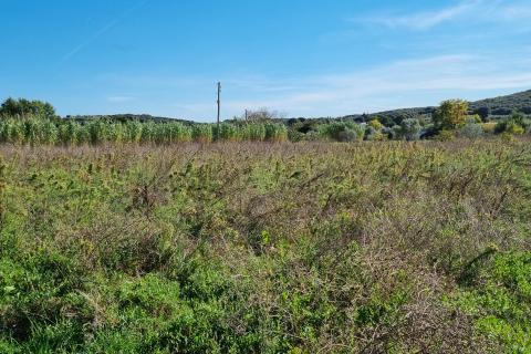 Stavbno zemljišče Rovinj, 5.000m2