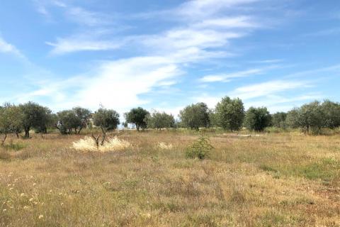 Istra, Umag - građevinsko zemljište, pogled na more