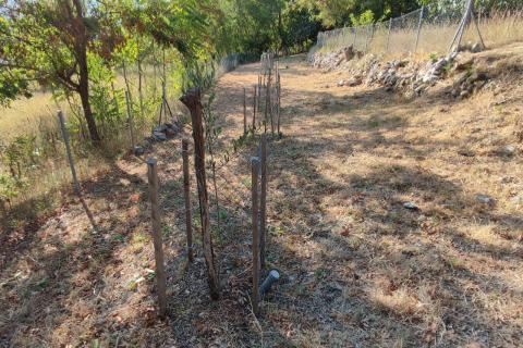 Baška - poljoprivredno  zemljište 293m2, pogled