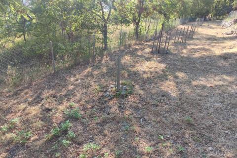 Baška - poljoprivredno  zemljište 293m2, pogled