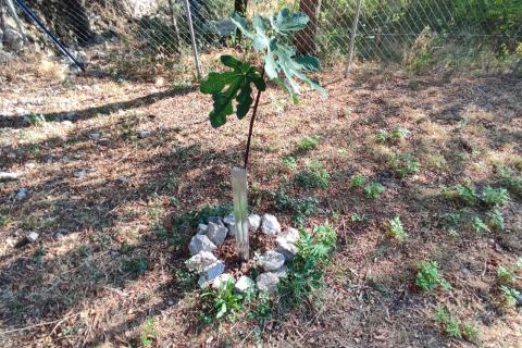 Baška - poljoprivredno  zemljište 293m2, pogled