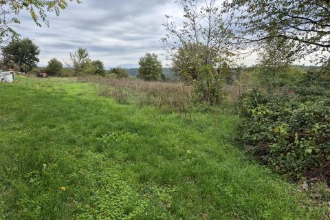 Building plot Tinjan, 7.000m2