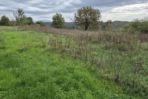 Building plot Tinjan, 7.000m2