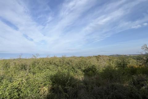 Vrsar - okolica, građevinsko zemljište s otvorenim pogledom