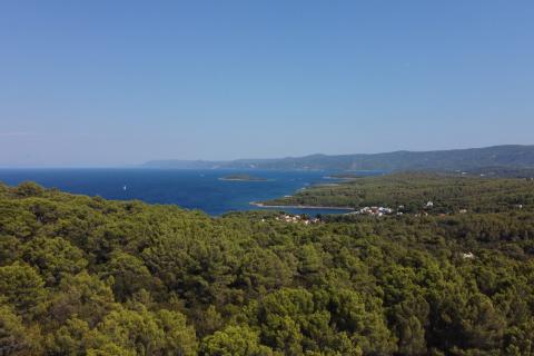 Jedinstvena prilika: građevinski teren s maslinicima na otoku Hvaru, Stari Grad, Vrbanj