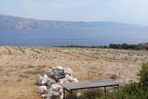 Jedinstvena prilika: građevinski teren s maslinicima na otoku Hvaru, Stari Grad, Vrbanj