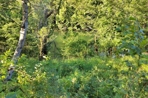 Stavbno zemljišče Severin na Kupi, Vrbovsko, 73.000m2