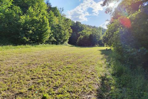 Stavbno zemljišče Severin na Kupi, Vrbovsko, 73.000m2