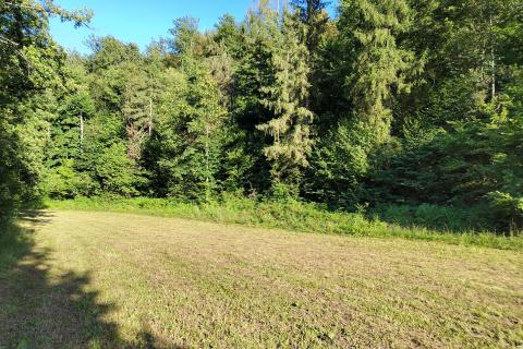 Stavbno zemljišče Severin na Kupi, Vrbovsko, 73.000m2