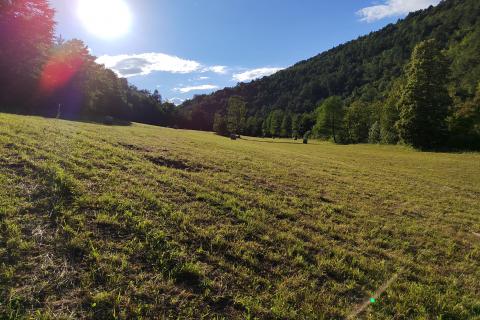 Stavbno zemljišče Severin na Kupi, Vrbovsko, 73.000m2