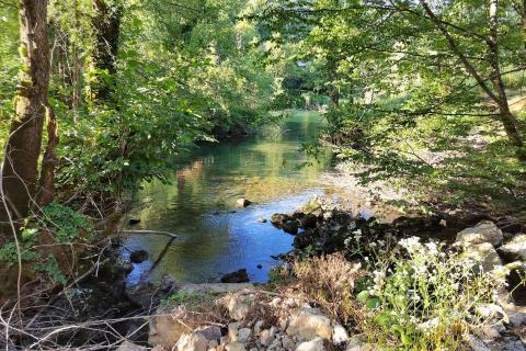 Stavbno zemljišče Severin na Kupi, Vrbovsko, 73.000m2