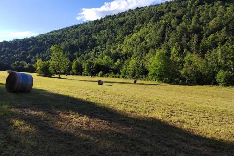 Stavbno zemljišče Severin na Kupi, Vrbovsko, 73.000m2