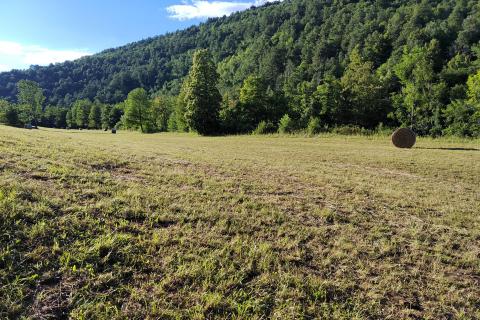 Stavbno zemljišče Severin na Kupi, Vrbovsko, 73.000m2