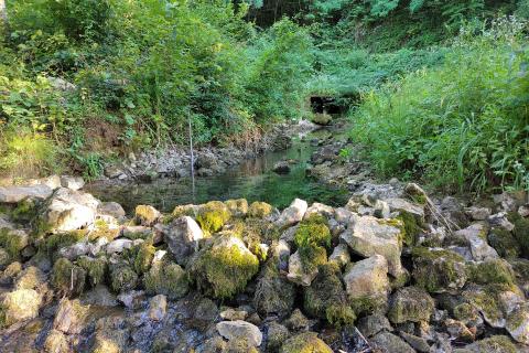 Stavbno zemljišče Severin na Kupi, Vrbovsko, 73.000m2